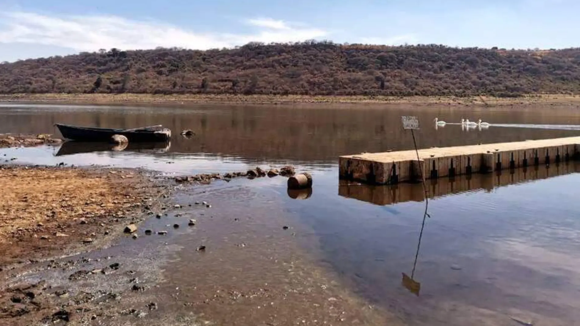 Presa Claderón